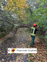 Einsatzfoto Baum auf Fahrradweg.jpg